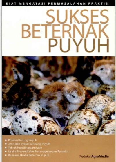 Sukses Beternak Puyuh