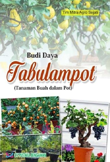 Budidaya Tanaman Buah Dalam Pot